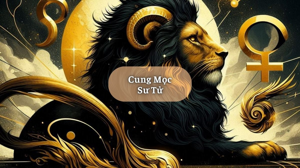 Cung Mọc Sư Tử