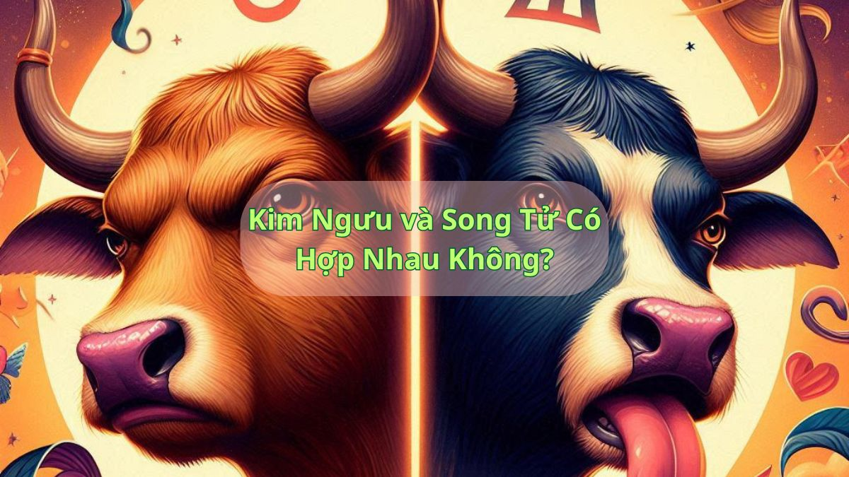 Kim Ngưu và Song Tử Có Hợp Nhau Không?